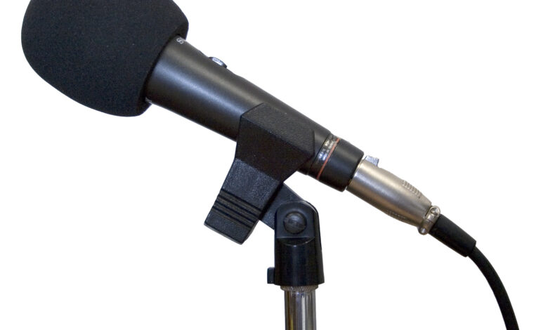 Studio microphone with foam windscreen on a stand