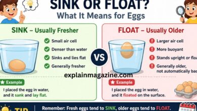 do bad eggs sink or float