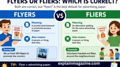 flyers or fliers