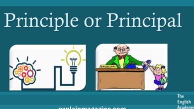 principal or principle
