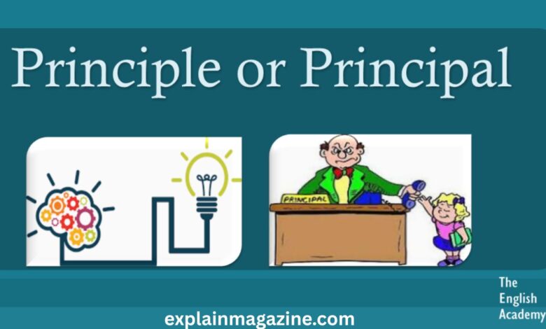 principal or principle