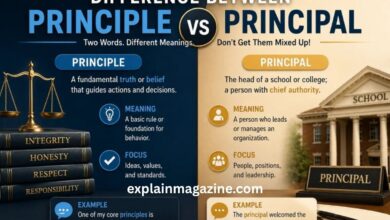principle or principal