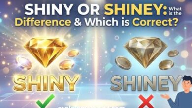 shiney or shiny