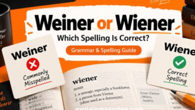 weiner or wiener